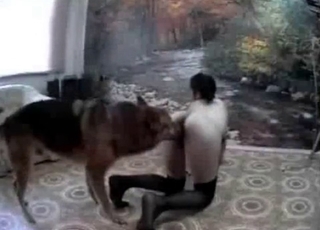 Shepherd is enjoying doggy style