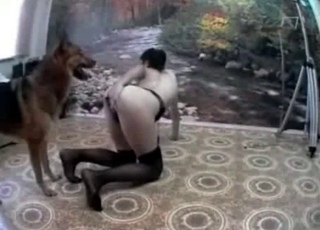 Shepherd is enjoying doggy style