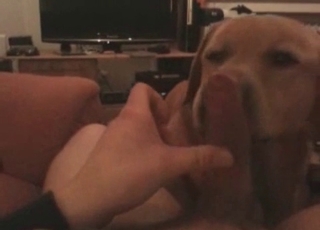 Submissive dog enjoys his dick