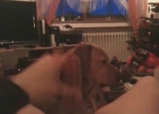 Submissive dog enjoys his dick