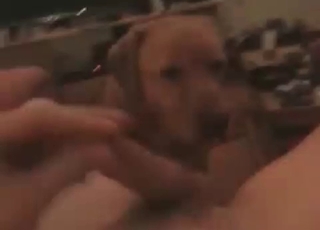 Submissive dog enjoys his dick