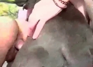 Giant animal dick in a tight cunt