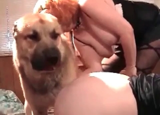 Fat zoophile bangs in the zoo porn
