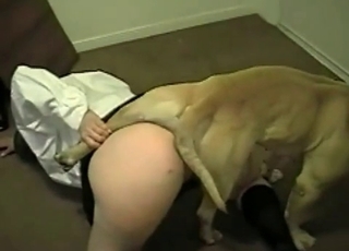 Hot girl and a small puppy