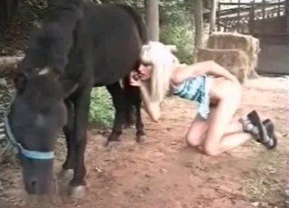 Bleached zoophile blows a horse