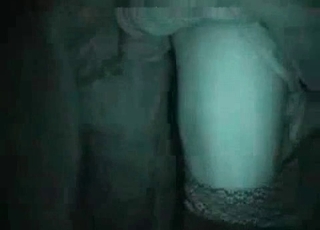Animal sex in the night