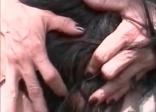 Babe fucking a brown horse