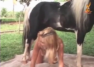 Crazy blonde and hot stallion