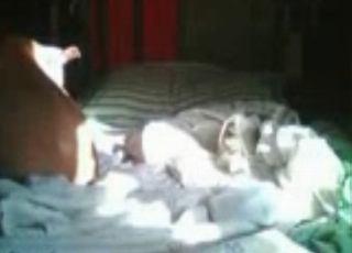 Pup in a zoo sex porn