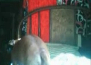 Pup in a zoo sex porn