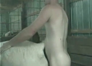 Dirty guy and his stallion