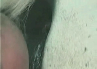 Dirty guy and his stallion