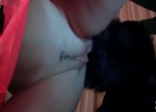 Dirty as fuck amateur animality