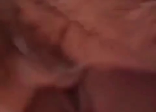 Impressively fast dog sex