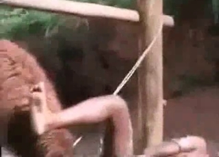 Farm animal enjoys an ebony slut