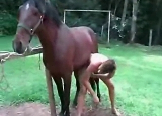 Zoophile fucked in the anal hole