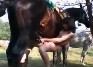 Horse pounds her juicy butts