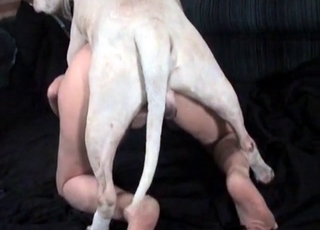 White dog enjoys her tight hole
