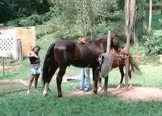 Filly nailing girl outdoor