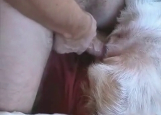 Hard cock for a sexy doggy