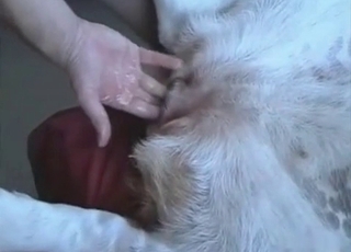 Hard cock for a sexy doggy