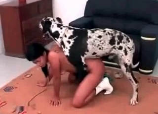 Crazy Dalmatian fucks her snatch