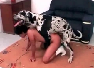 Crazy Dalmatian fucks her snatch