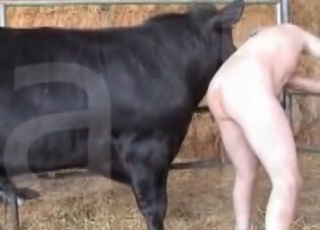 Good zoo sex at the old farm