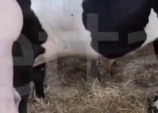 Good zoo sex at the old farm