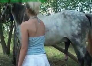 Horsy in a zoo sex session