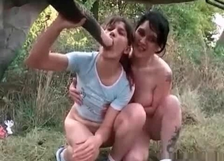 Two ladies are having a horse