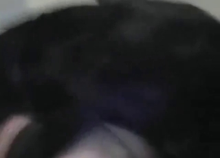 Stray pounding juicy cunt
