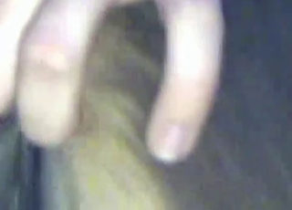 Dude enjoys animals ass