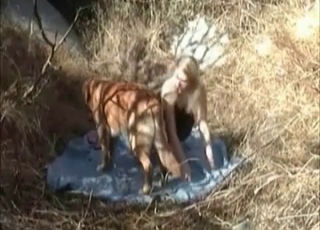 Outdoor zoo sex with a mutt