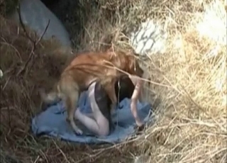 Outdoor zoo sex with a mutt