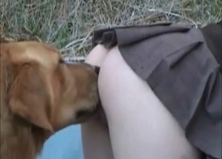 Outdoor zoo sex with a mutt