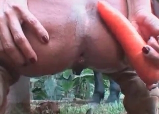 Babe fucked by a pony