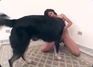 Big dog and a brunette babe