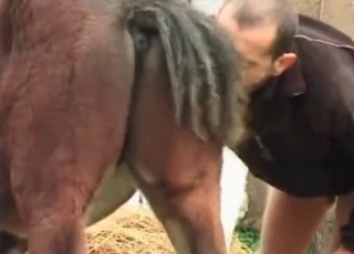 Old zoophile enjoys horse cum