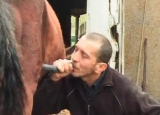 Old zoophile enjoys horse cum