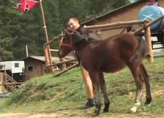 Old zoophile enjoys horse cum