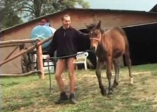 Old zoophile enjoys horse cum