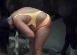 Horse fills out her tight cunt