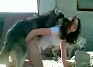 Doggies and a brunette