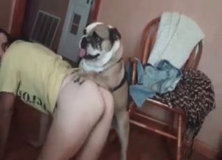 Puppy in a zoo porn scene