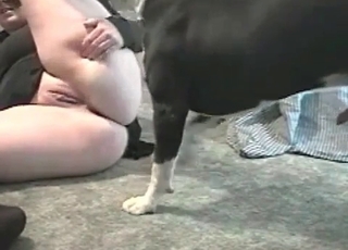 Big booty is good for a dog