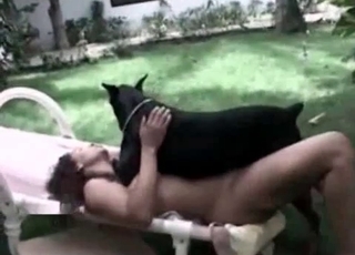Black dog fucking babe