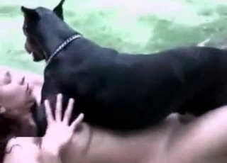 Black dog fucking babe