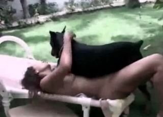 Black dog fucking babe