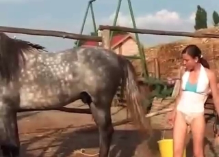Dirty whore washes her horse